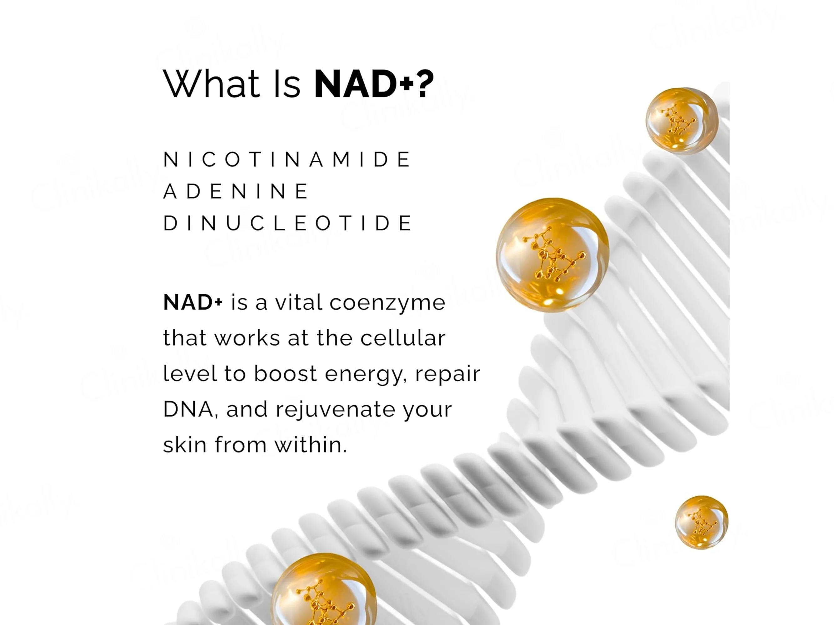 Beyond Beyond Ceramides & NAD+ Hydro Active All Day Cream - Image 4