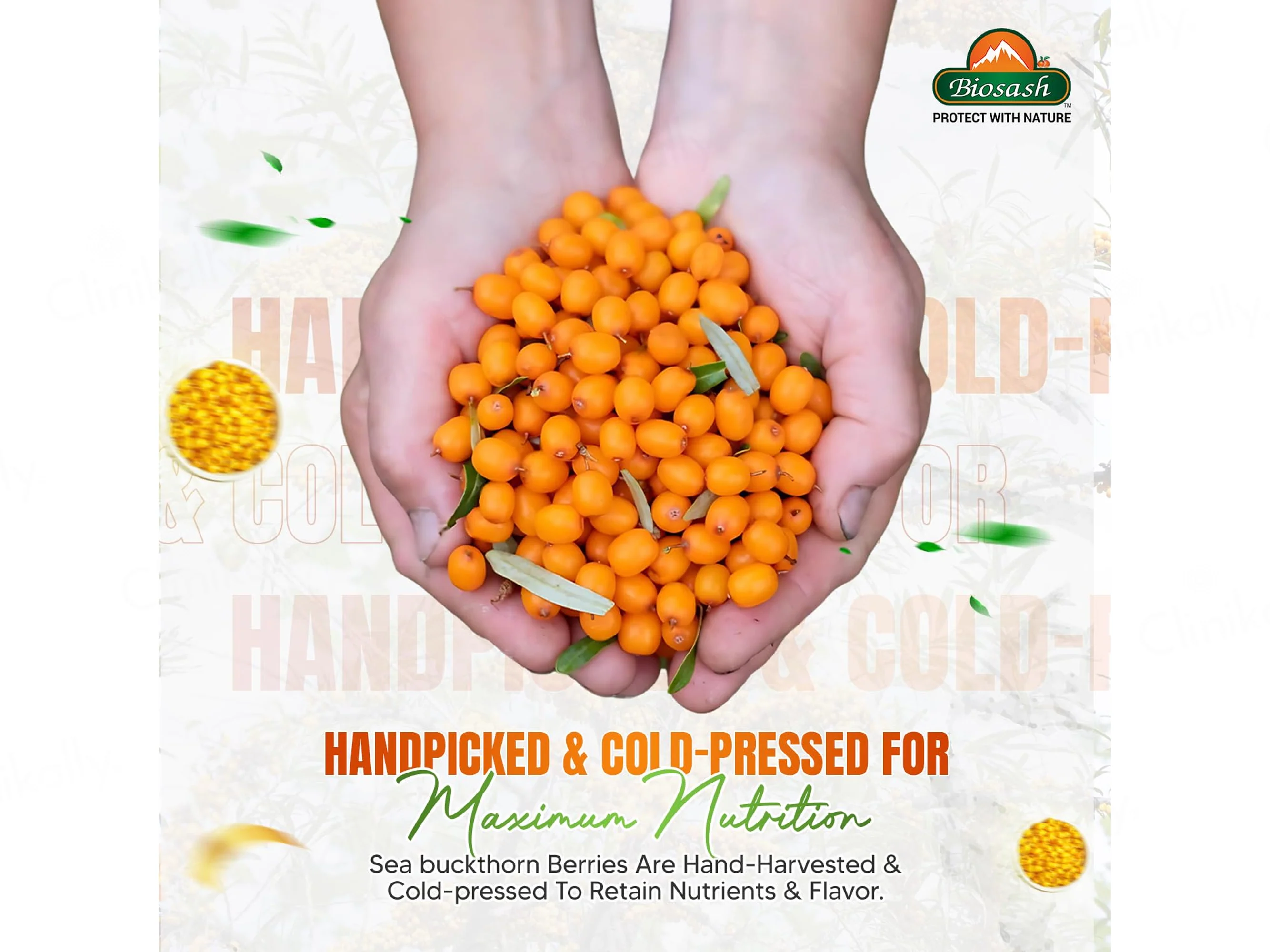 Biosash Sea Buckthorn Empower Juice - Image 8