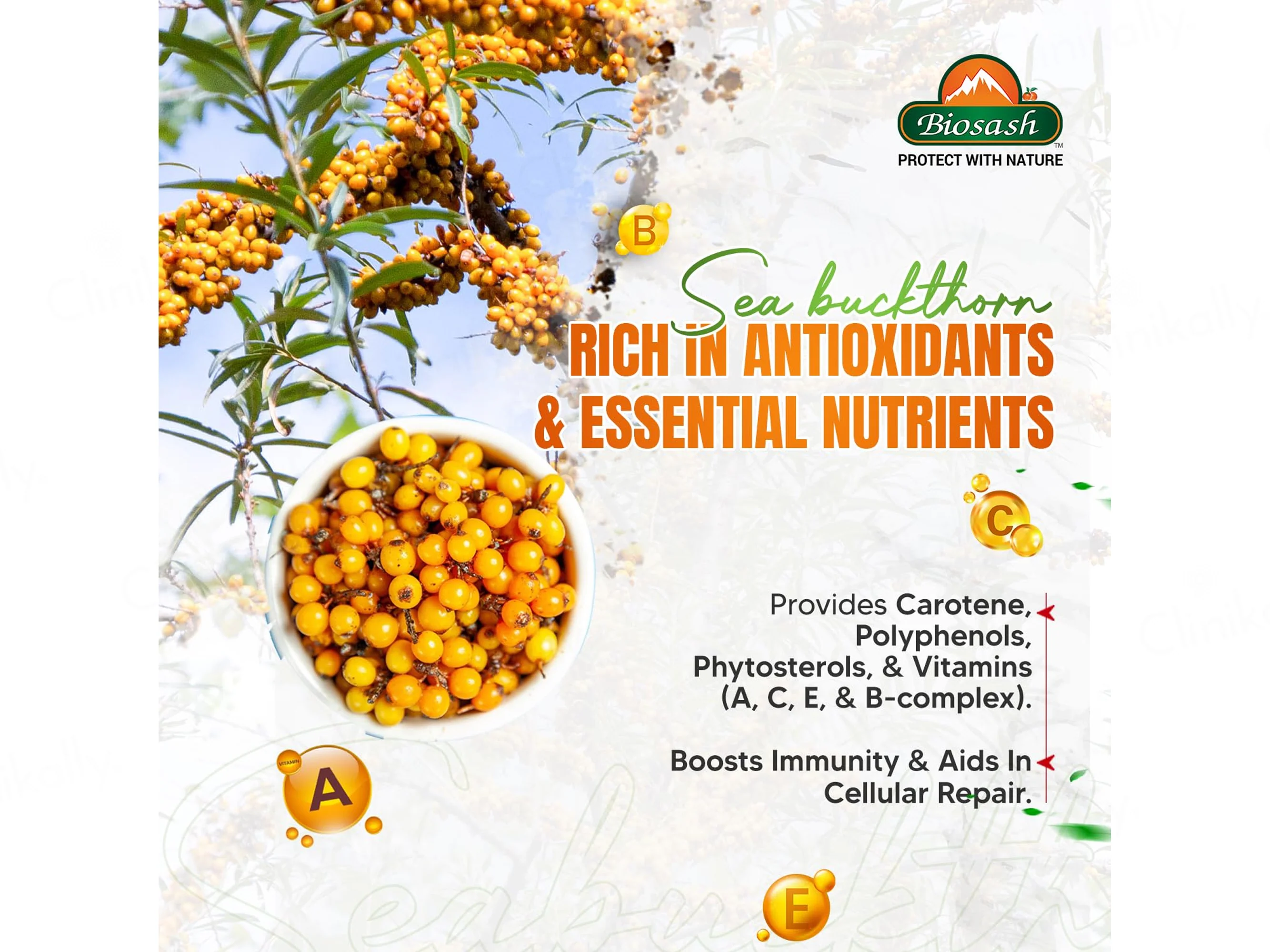 Biosash Sea Buckthorn Memorysash Juice - Image 8