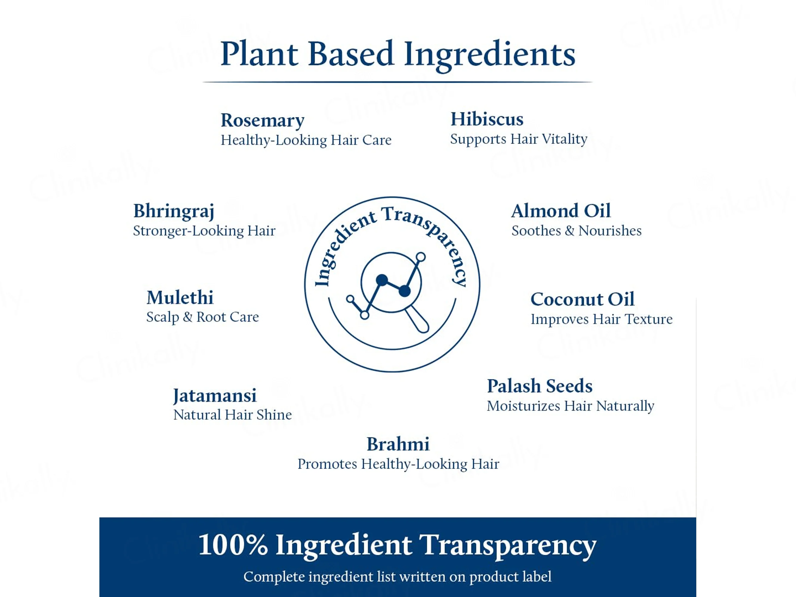 Blue Nectar Briganantadi Rosemary Hair Growth Tonic - Image 5