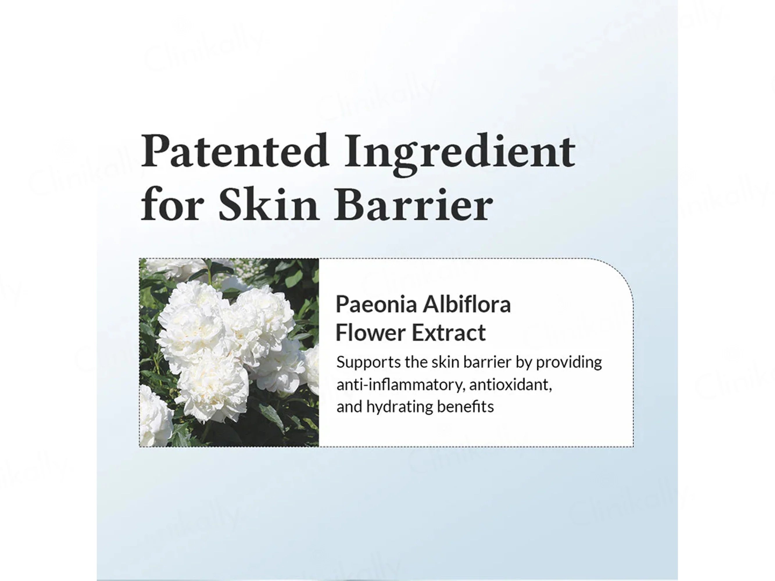 Dr. Althea 147 Barrier Cream - Image 6