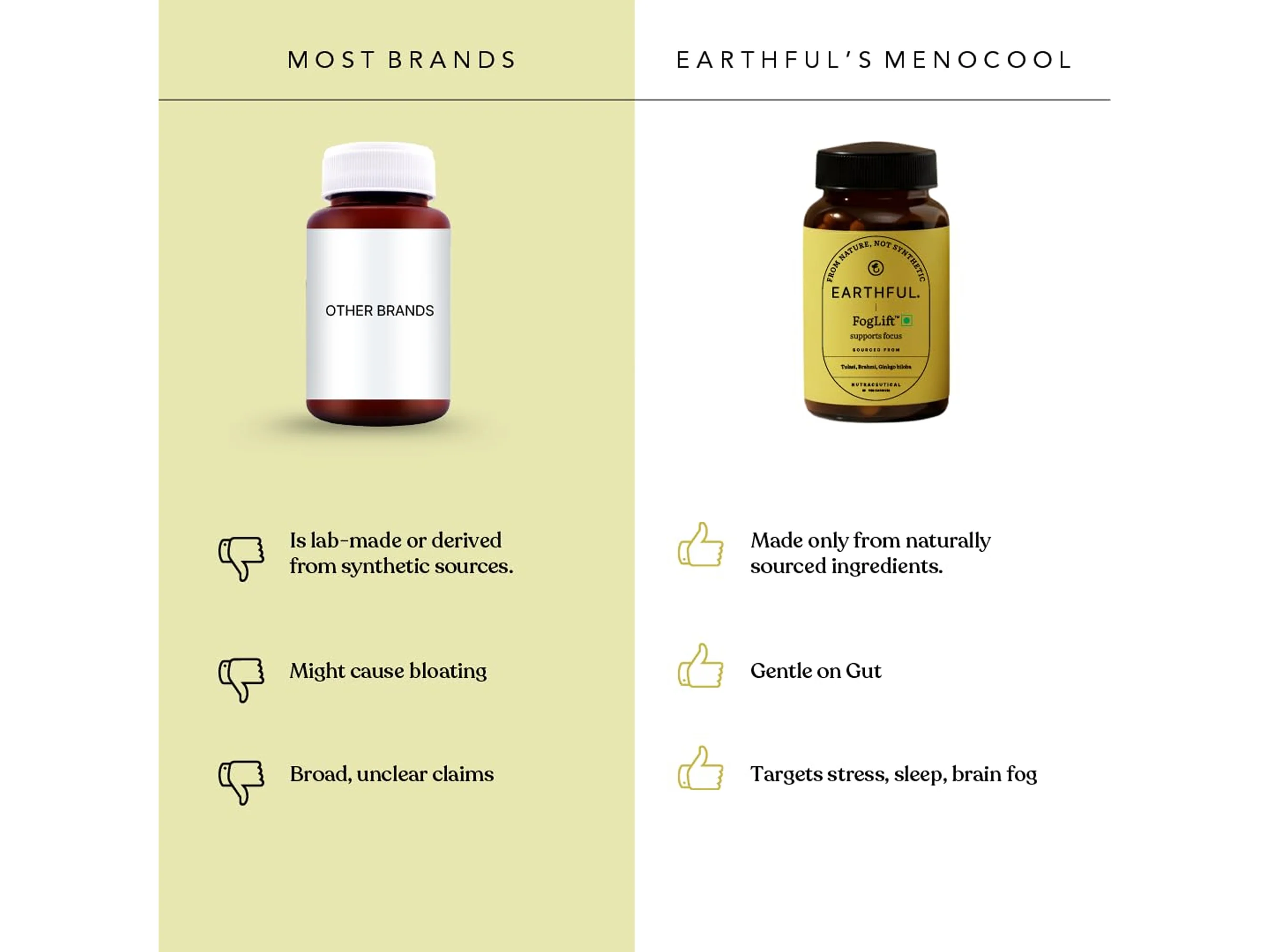 Earthful Foglift Support Focus Nutraceutical Veg Capsule - Image 7