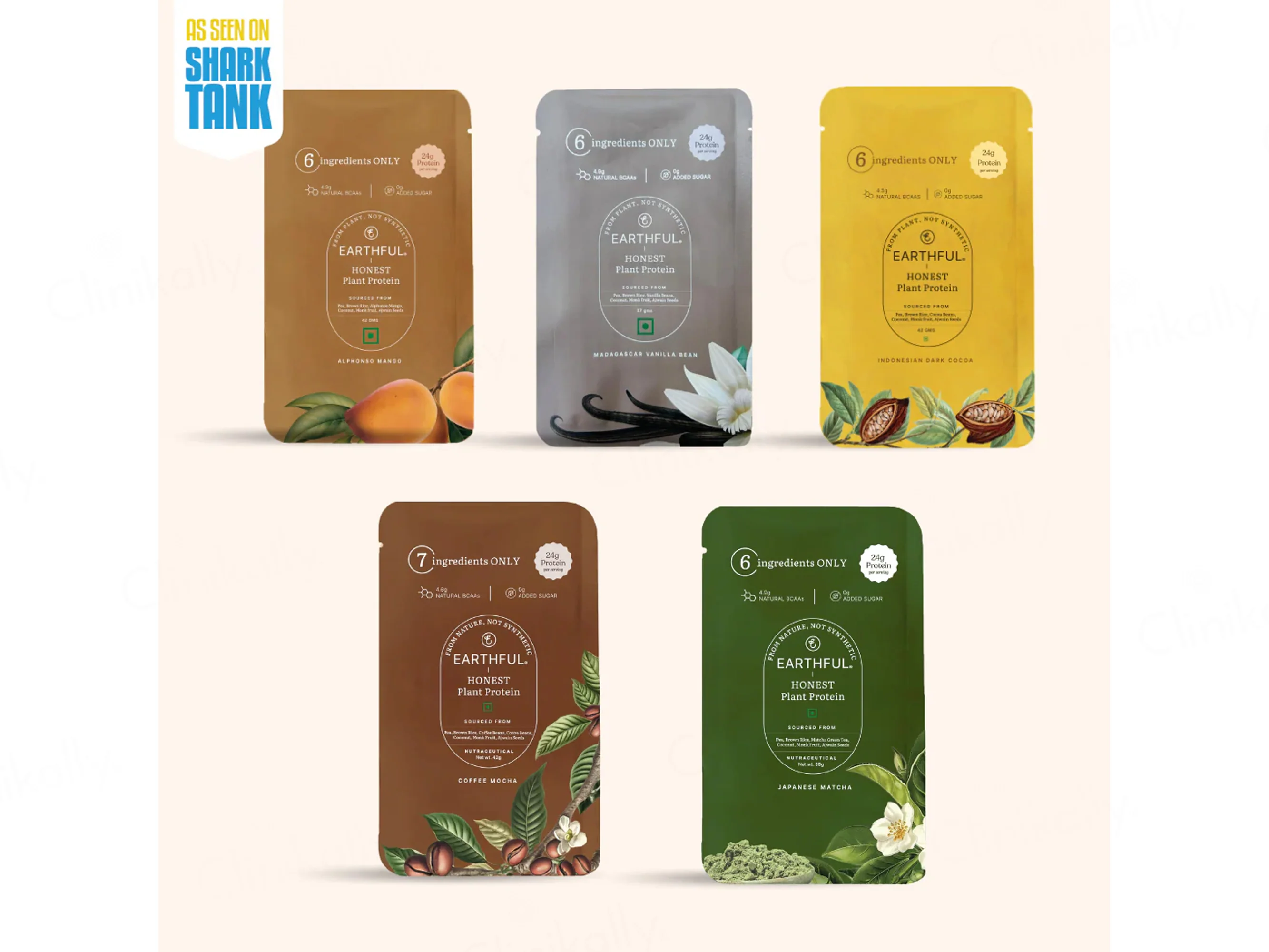 Earthful Honest Plant Protein Nutraceutical Powder (Assorted Flavours) - Image 2