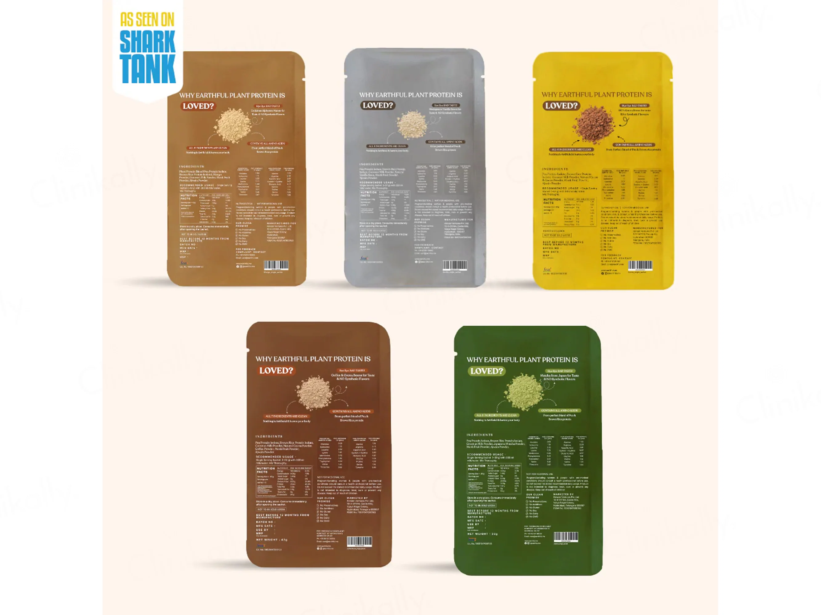Earthful Honest Plant Protein Nutraceutical Powder (Assorted Flavours) - Image 3