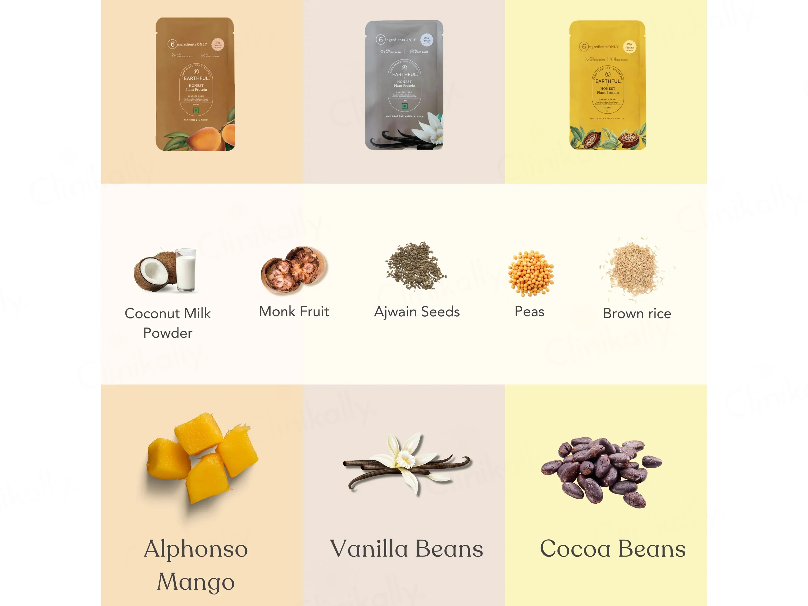 Earthful Honest Plant Protein Nutraceutical Powder (Assorted Flavours) - Image 7