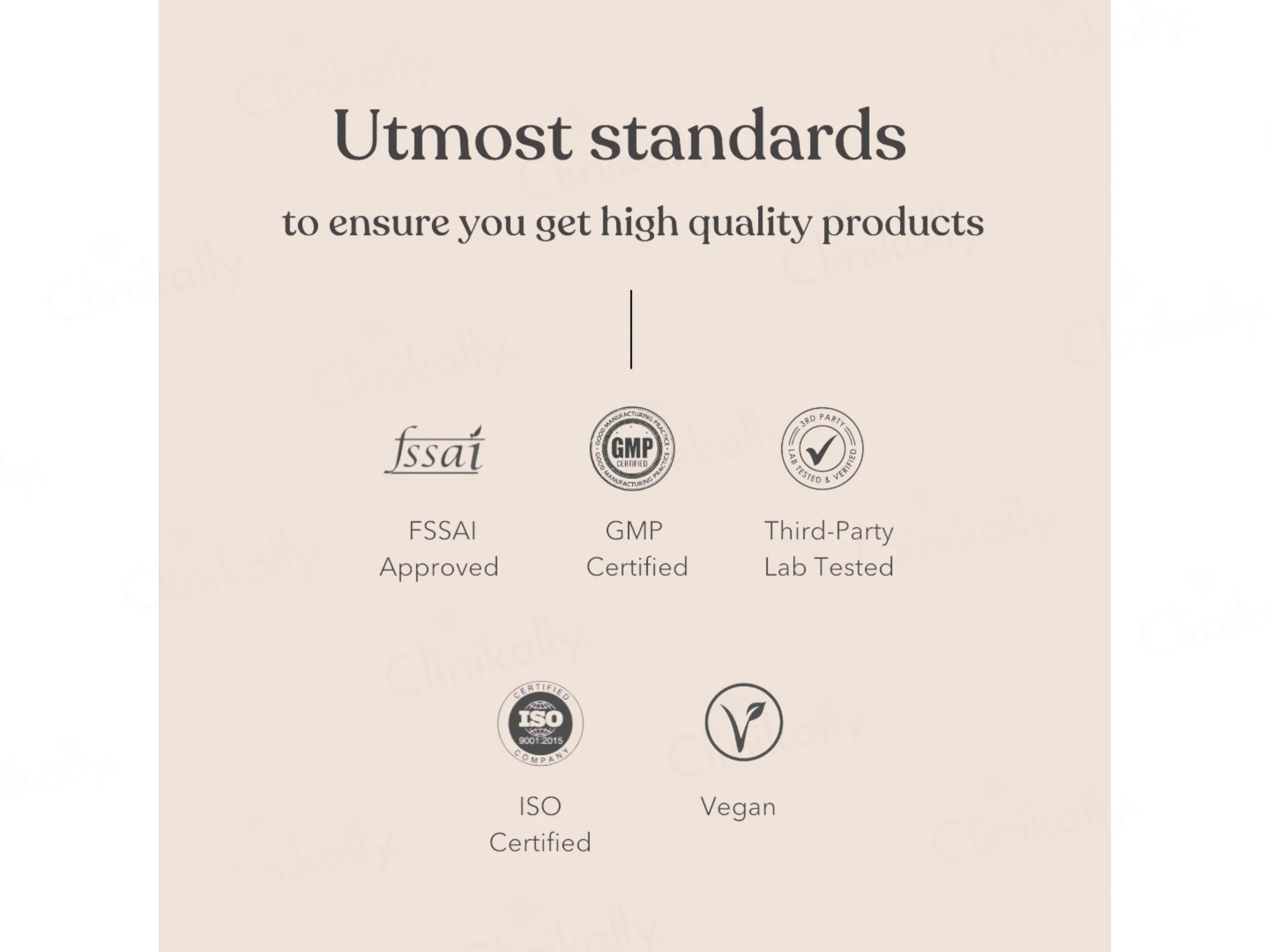 Earthful Honest Plant Protein Nutraceutical Powder (Assorted Flavours) - Image 9
