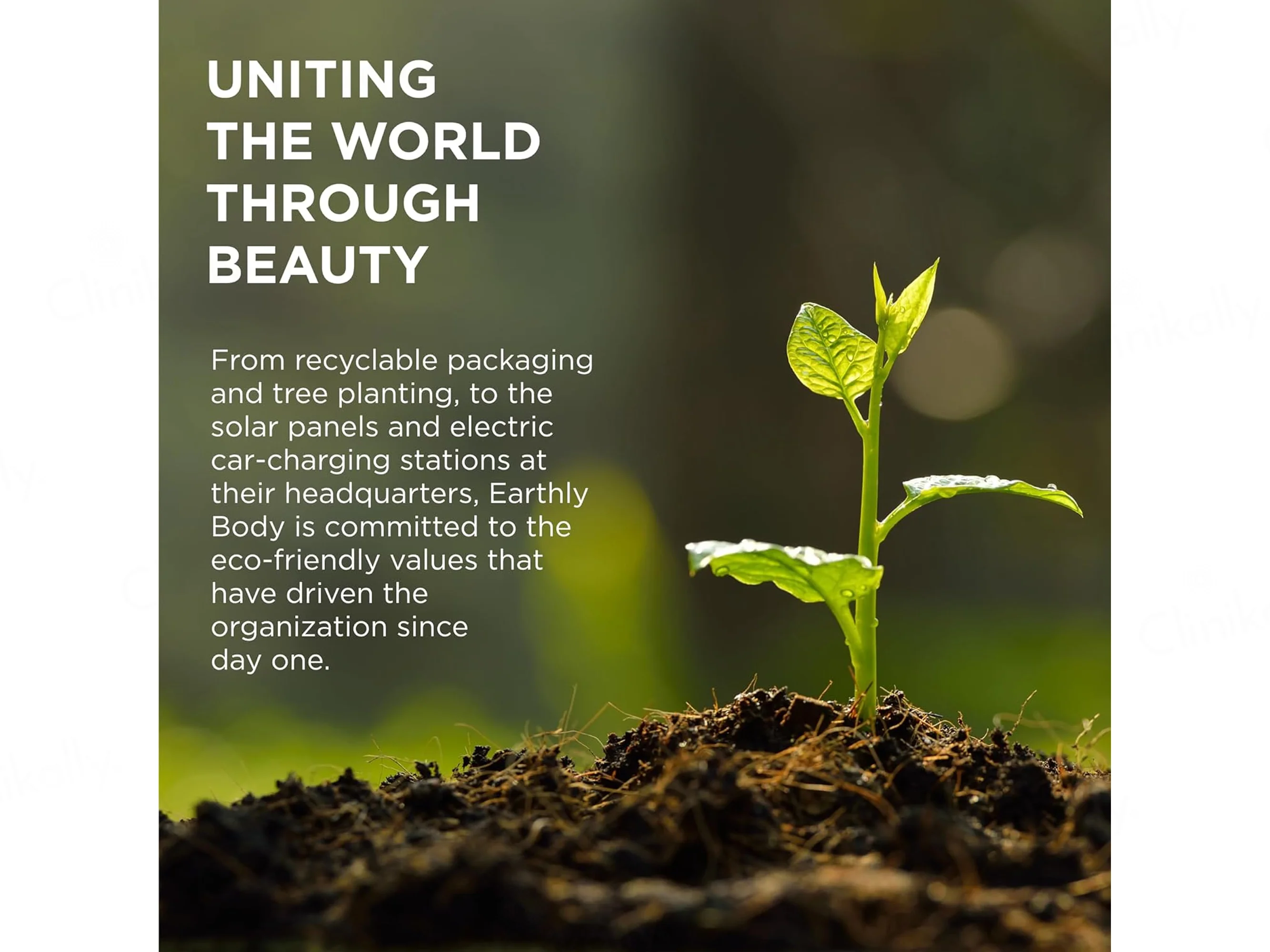 Earthly Body MKS Eco Nourish Daily Shampoo - Image 7