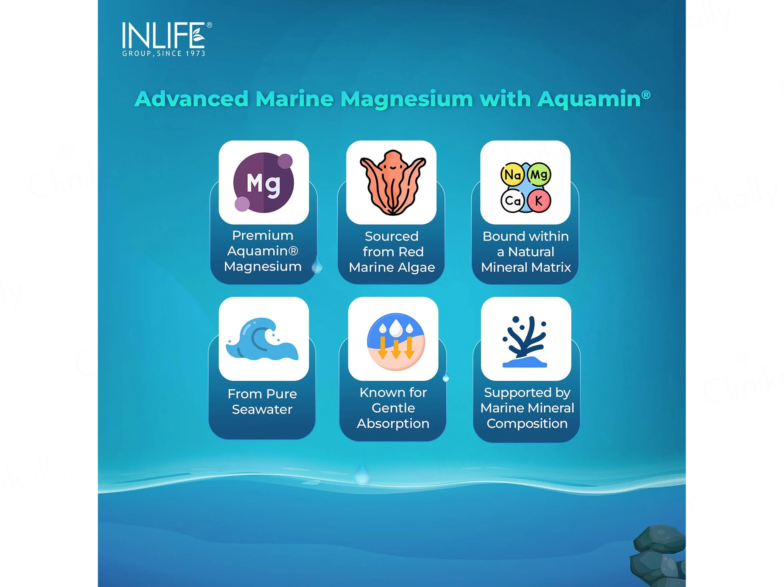 Inlife Aquamin Magnesium With Zinc Gluconate Health Supplement Vegetarian Capsule - Image 4