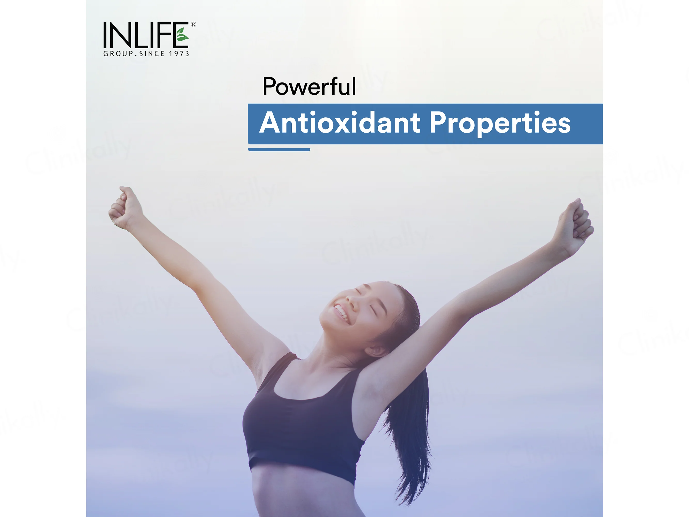 Inlife Grape Seed Extract 400mg Vegetarian Capsule - Image 4