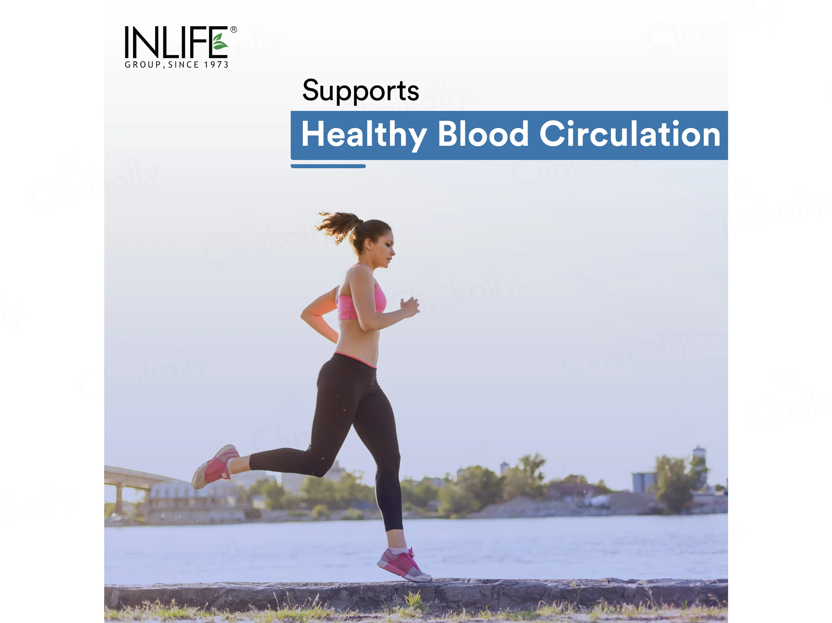 Inlife Grape Seed Extract 400mg Vegetarian Capsule - Image 5