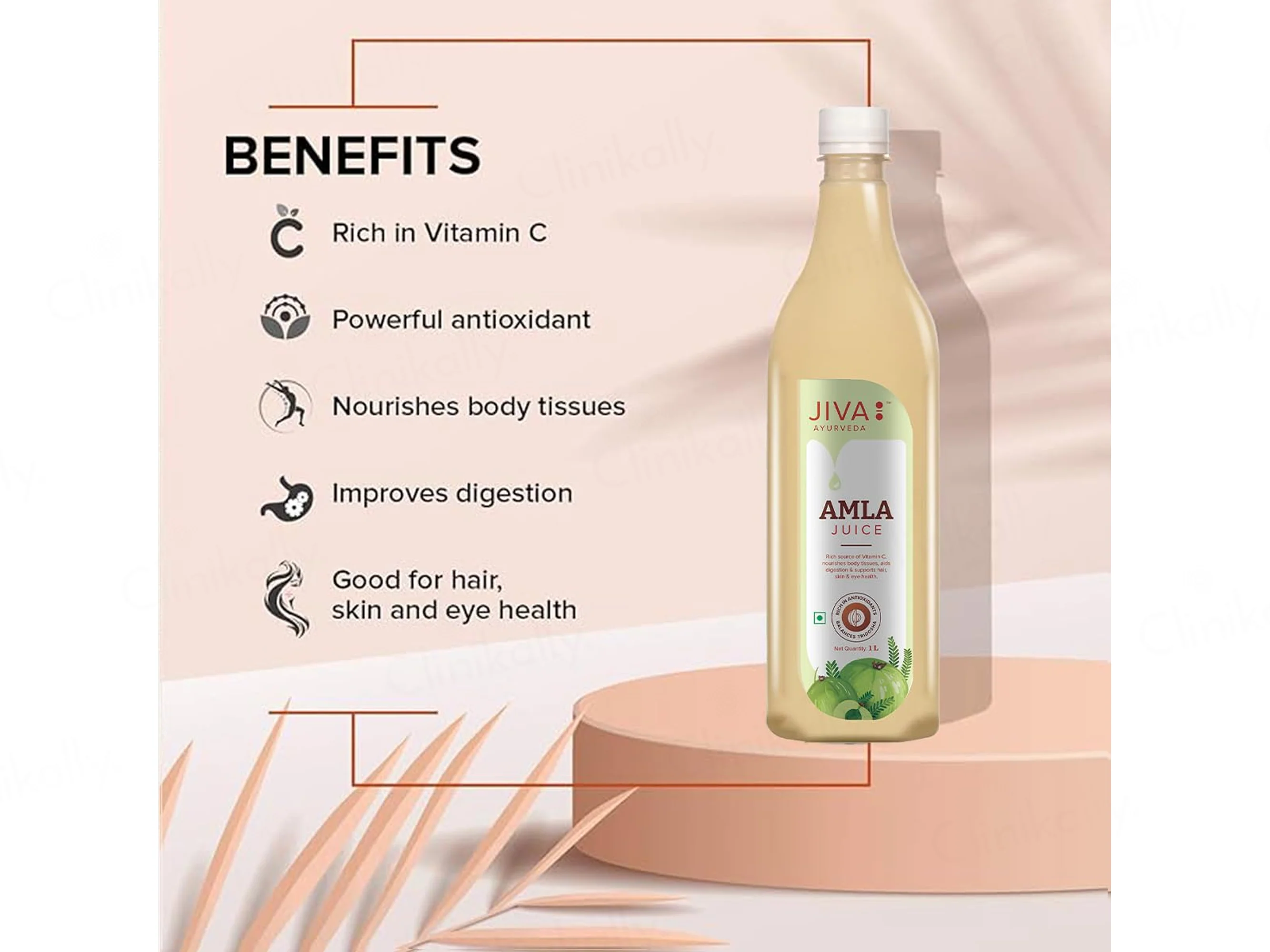Jiva Ayurveda Amla Juice - Image 2