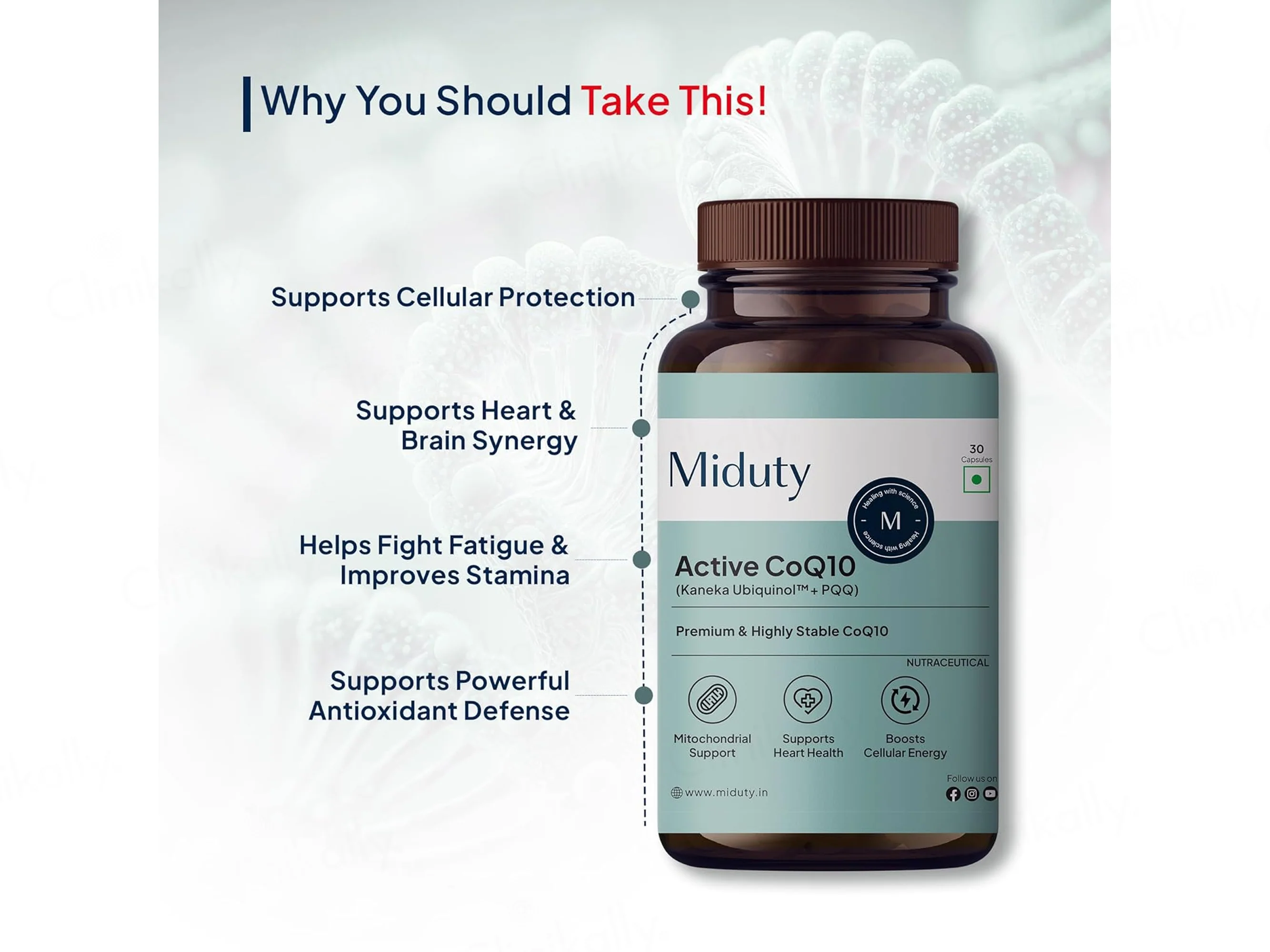 Miduty Active CoQ10 Nutraceutical Veg Capsule - Image 4