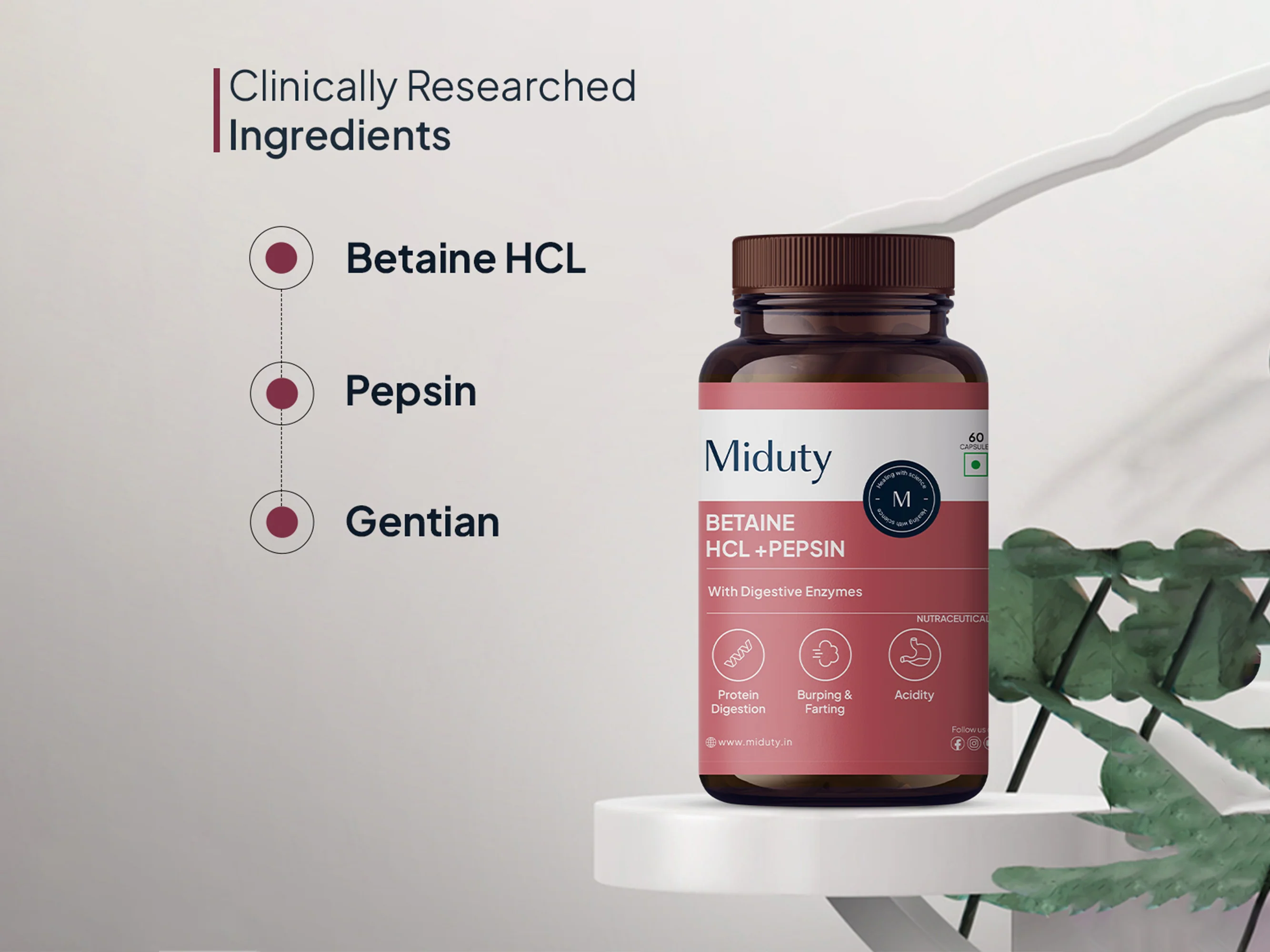Miduty Betaine HCl + Pepsin Capsule - Image 6