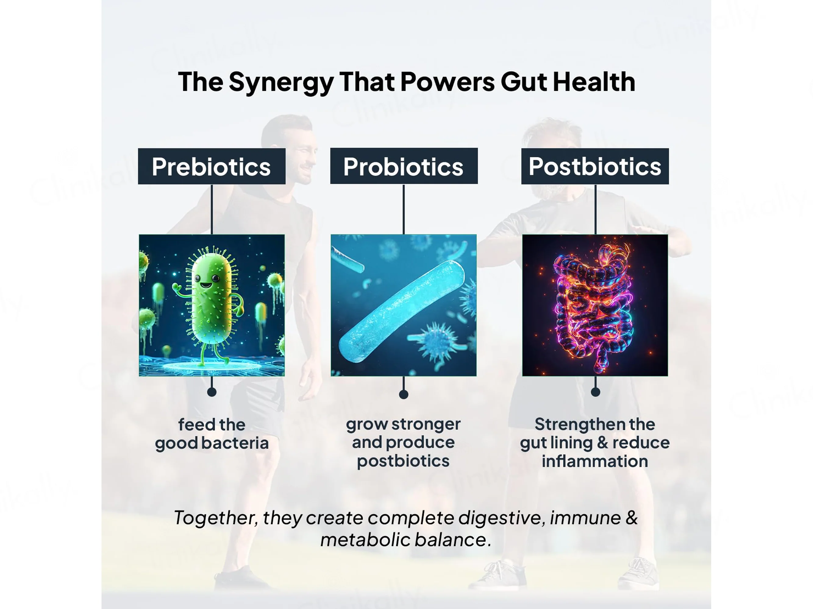 Miduty Probiotics+ Nutaceutical Powder For Adults - Image 4