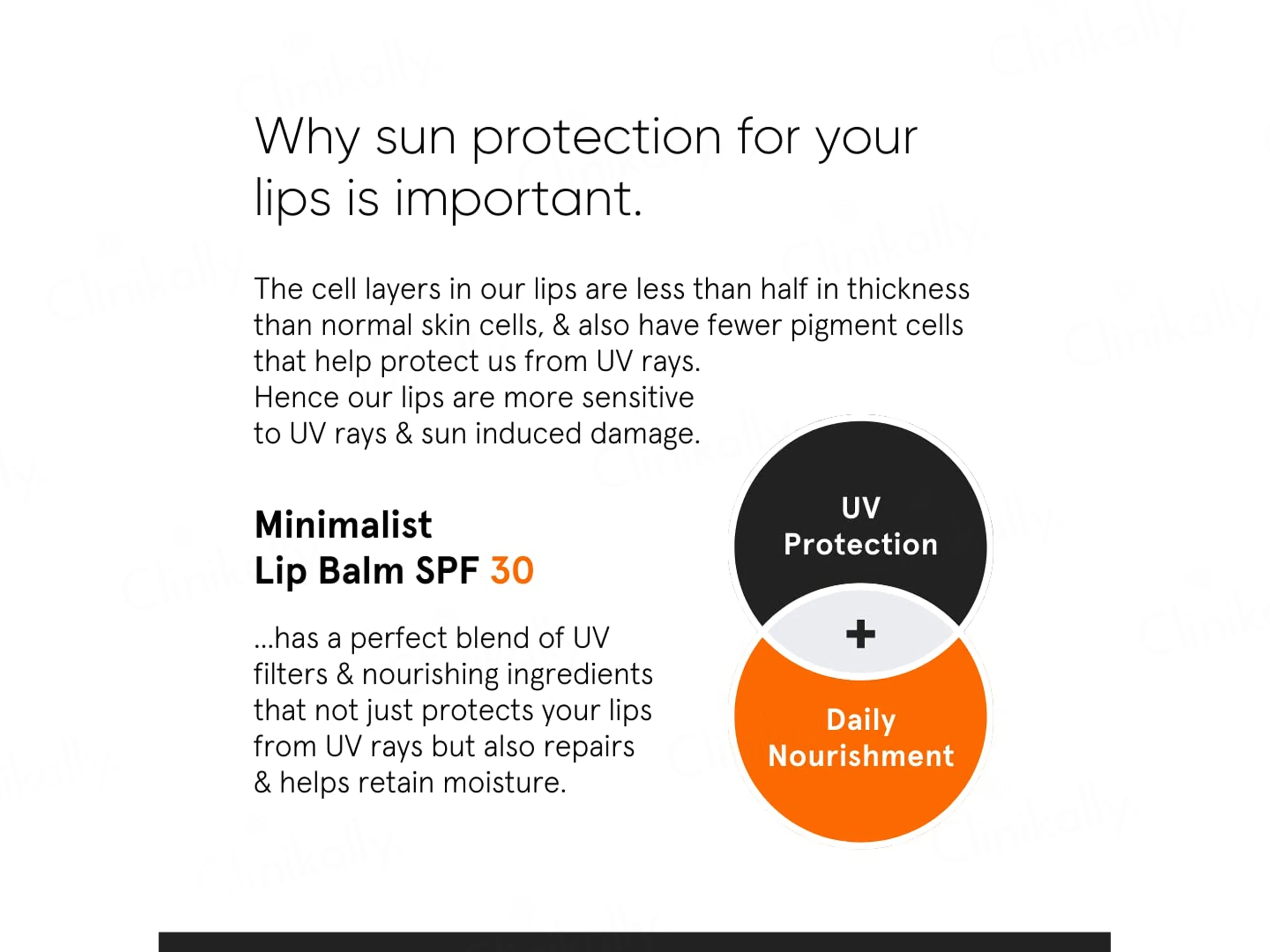 Minimalist Lip Balm SPF 30 - Image 3