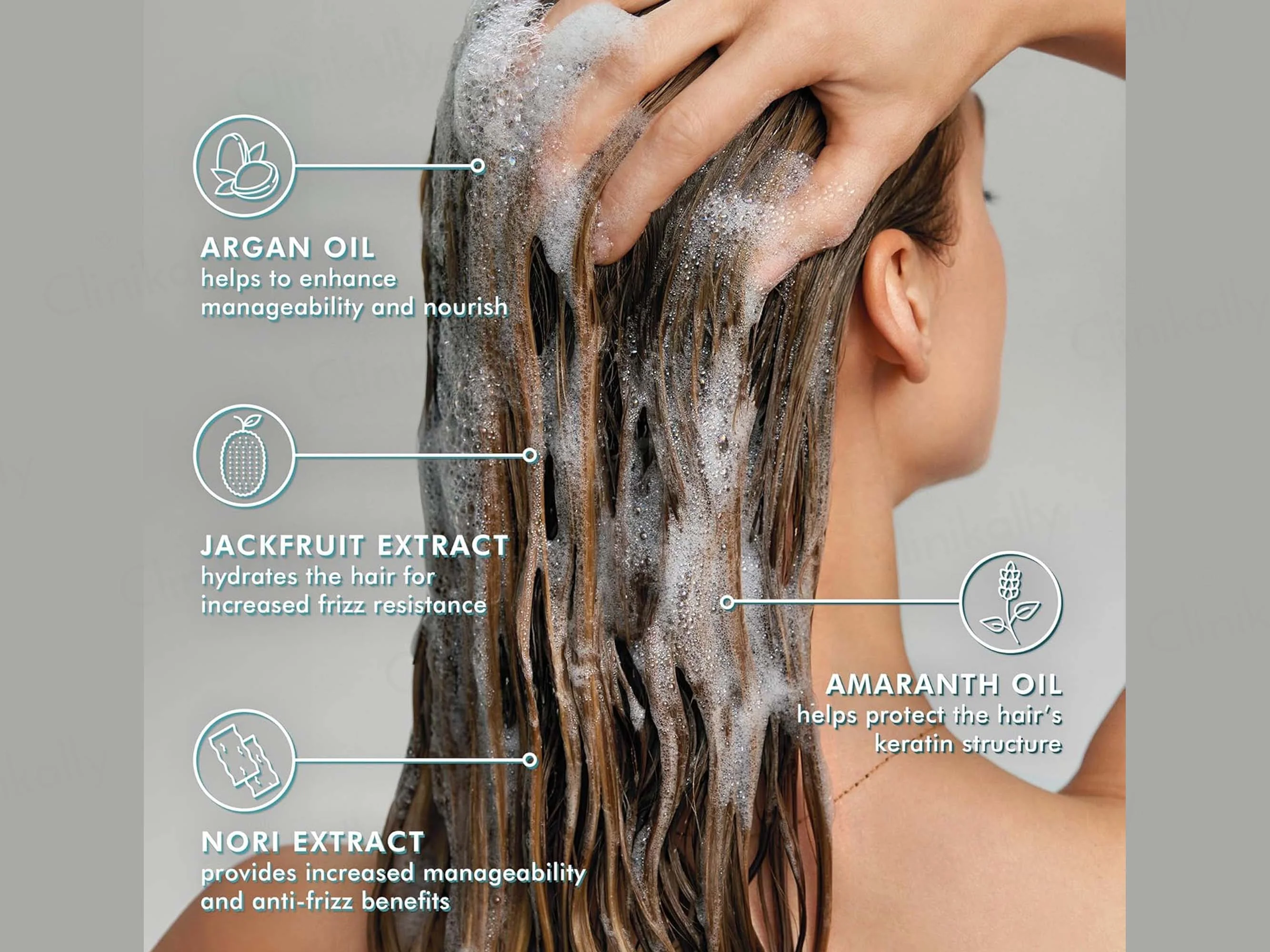 Moroccanoil Frizz Control Shampoo - Image 2