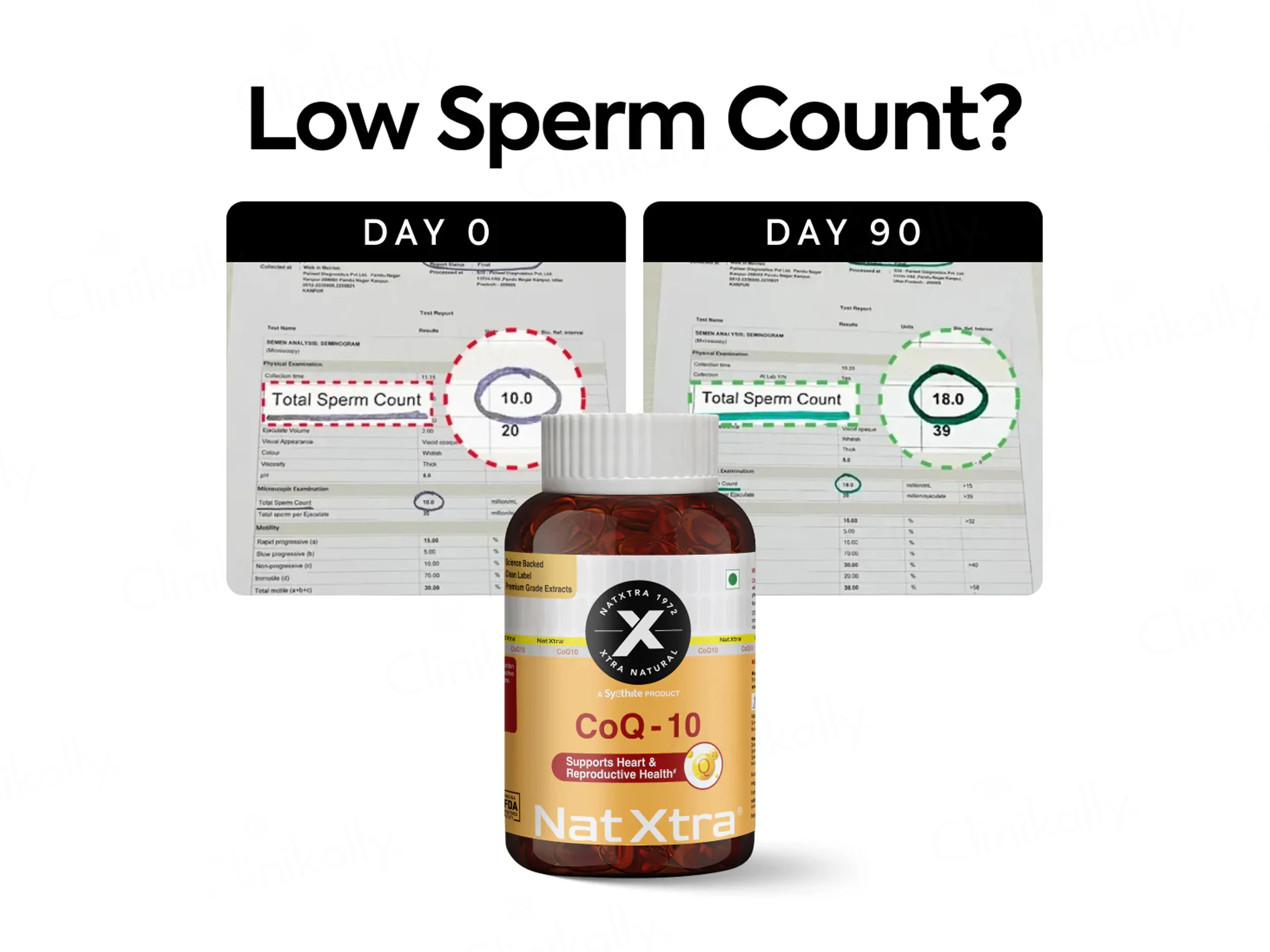 NatXtra CoQ10 Fertility Health Supplement Capsule - Image 3