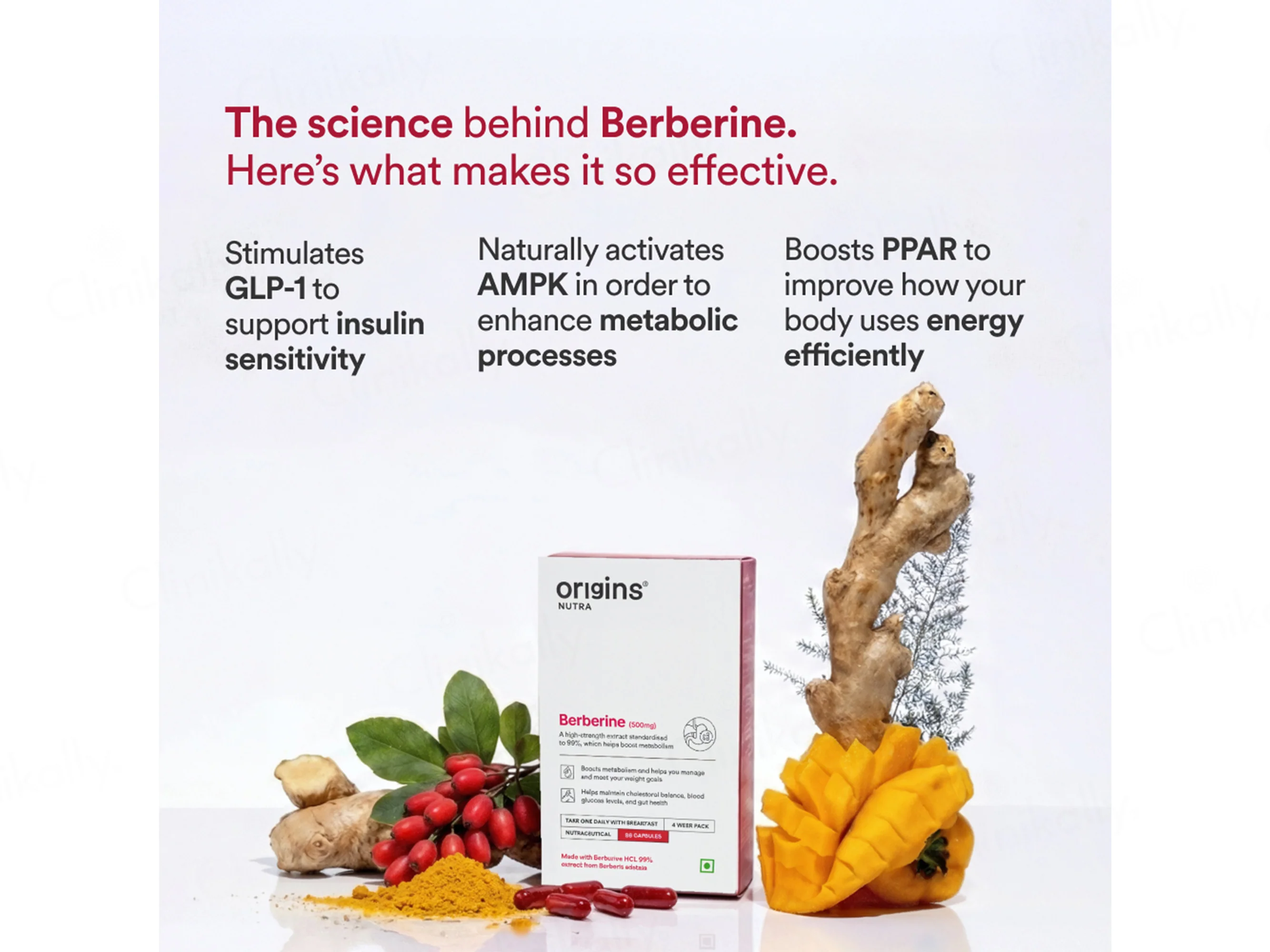 Origins Nutra Berberine 500mg Nutraceutical Veg Capsule - Image 2