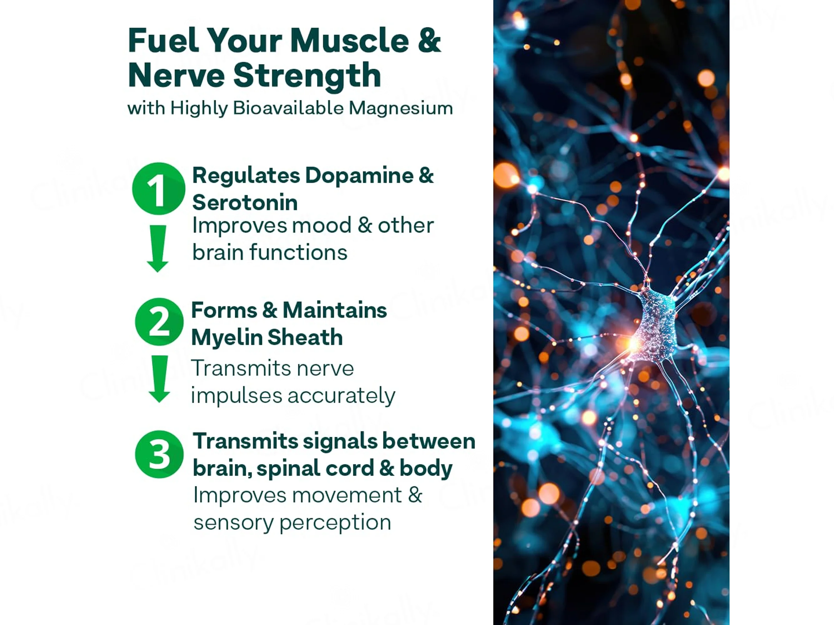 Oziva Magnesium Triple Complex Veg Tablet - Image 5