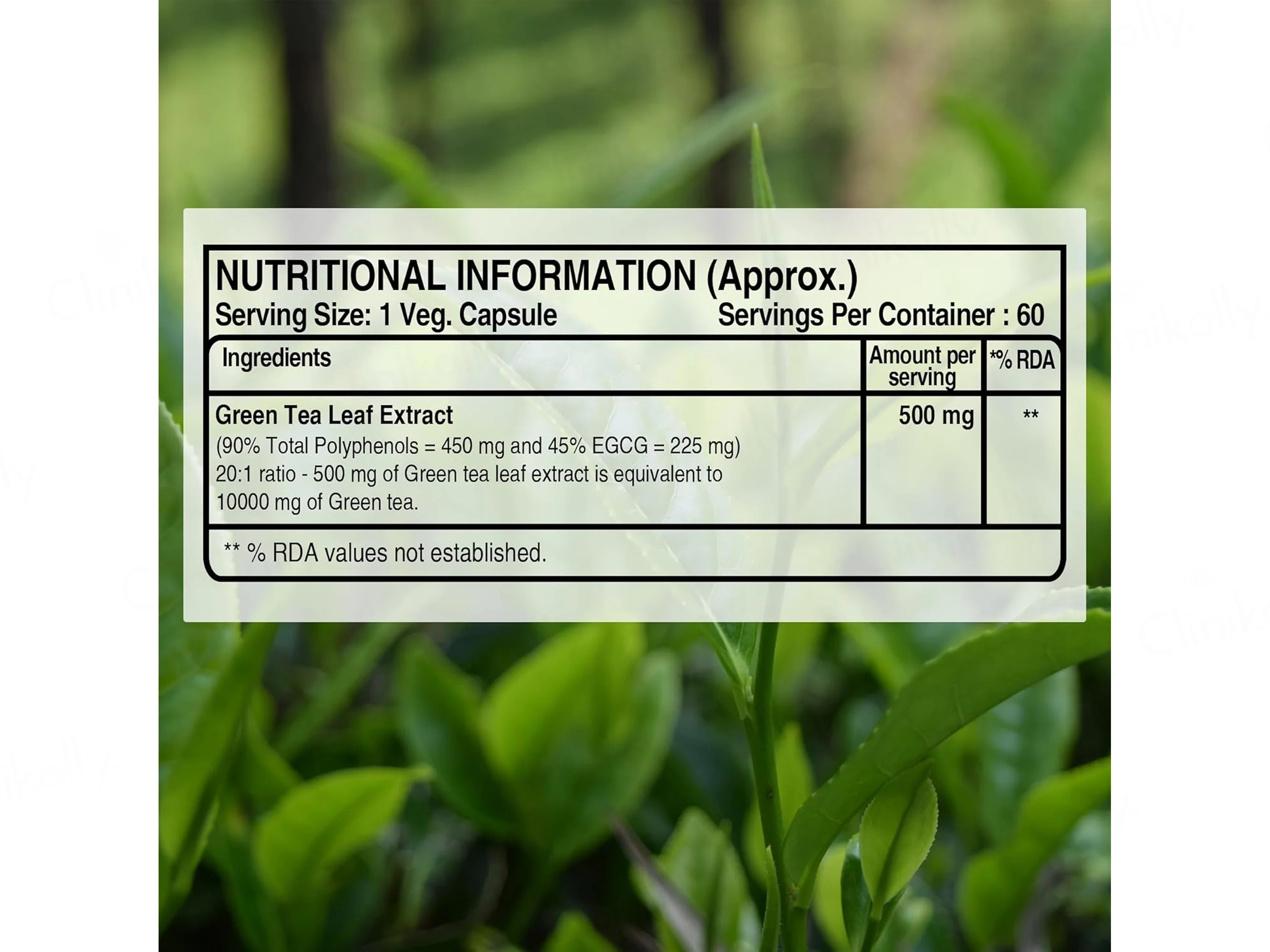Pure Nutrition Green Tea Leaf Extract 500mg Veg Capsule - Image 2