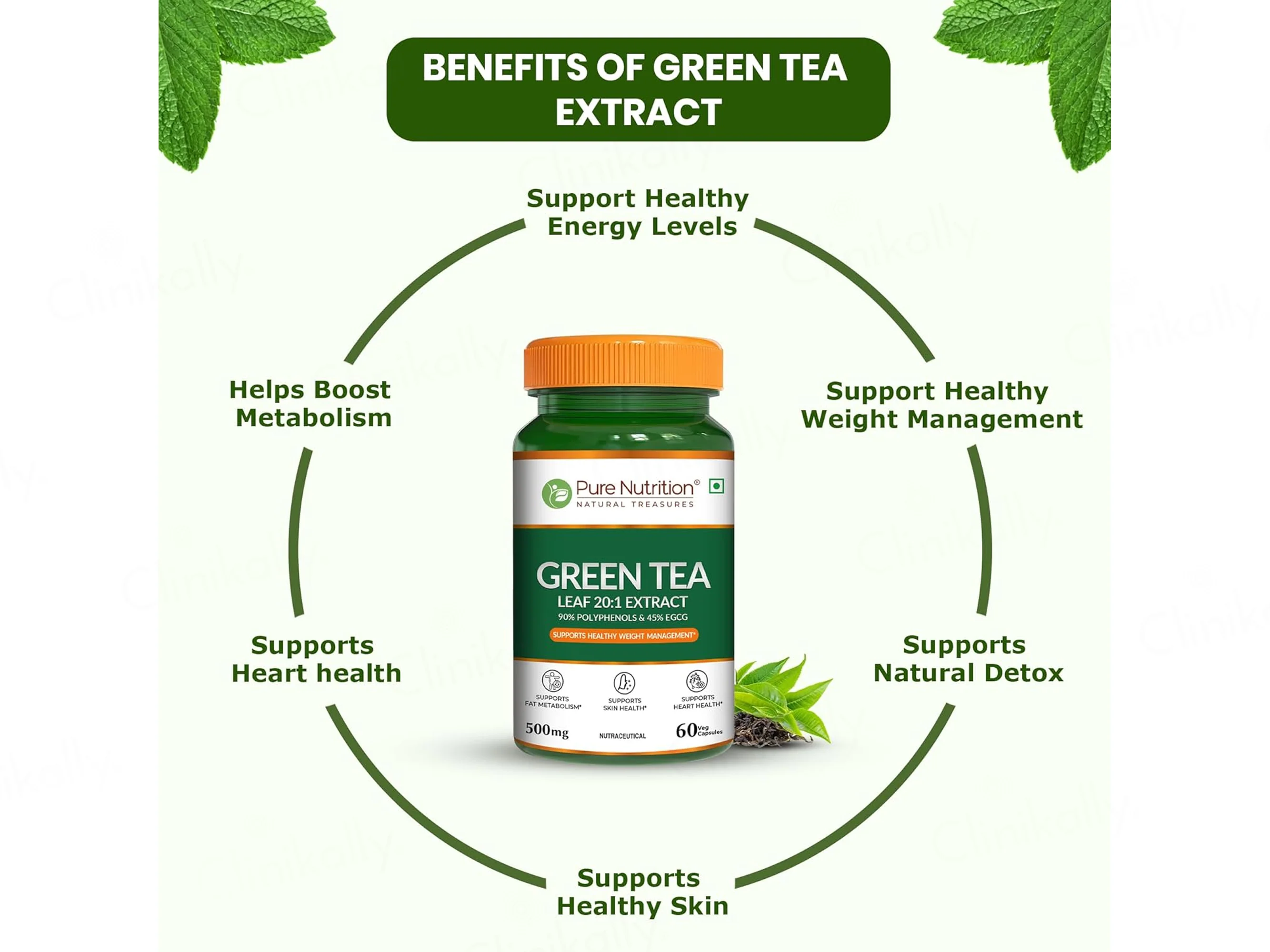 Pure Nutrition Green Tea Leaf Extract 500mg Veg Capsule - Image 3