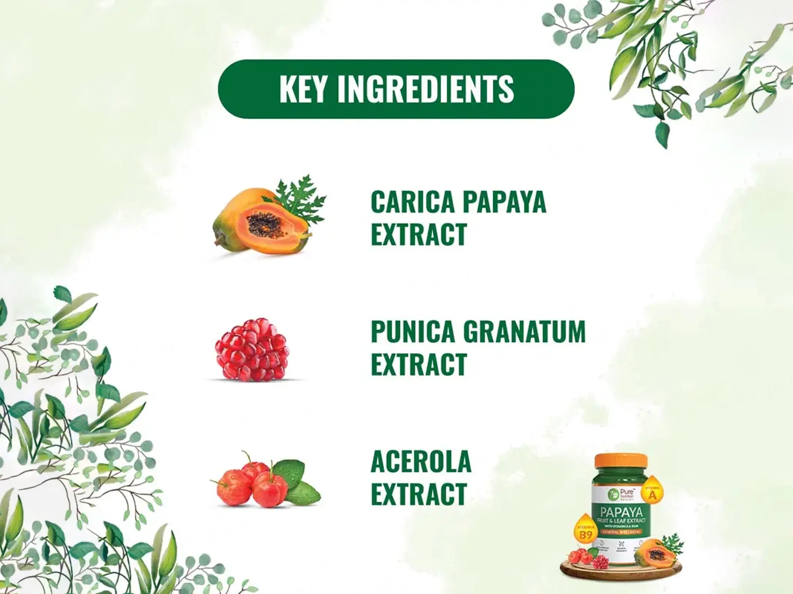Pure Nutrition Papaya Fruit & Leaf Extract With Vitamin A & Iron Veg Tablet - Image 5