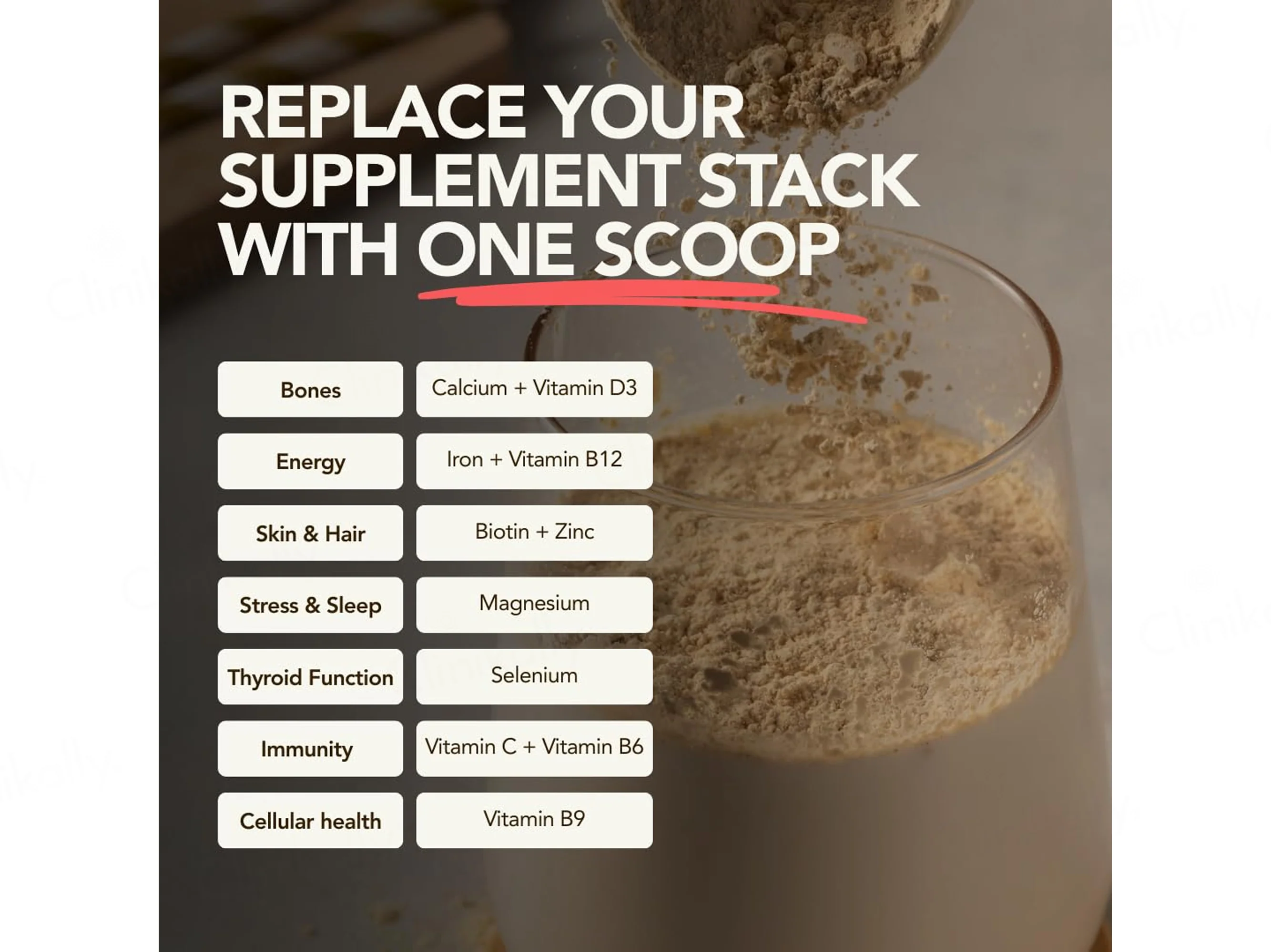 The Basics Woman Vanilla, Basic But Iconic Daily Scoop Plant Protein Powder - Image 5