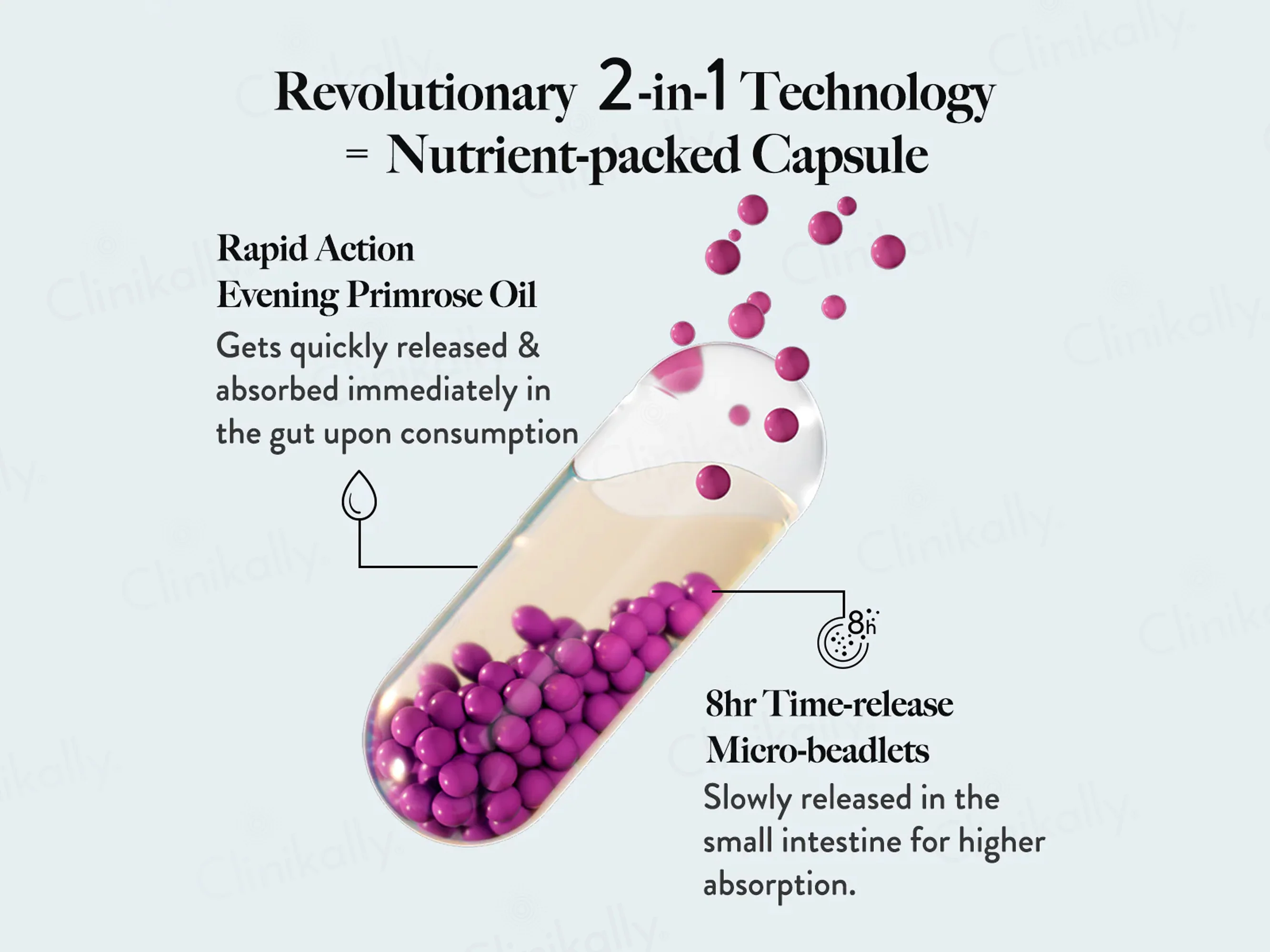 Wellbeing Nutrition Slow Hair & Skin & Nails Capsule - Image 5