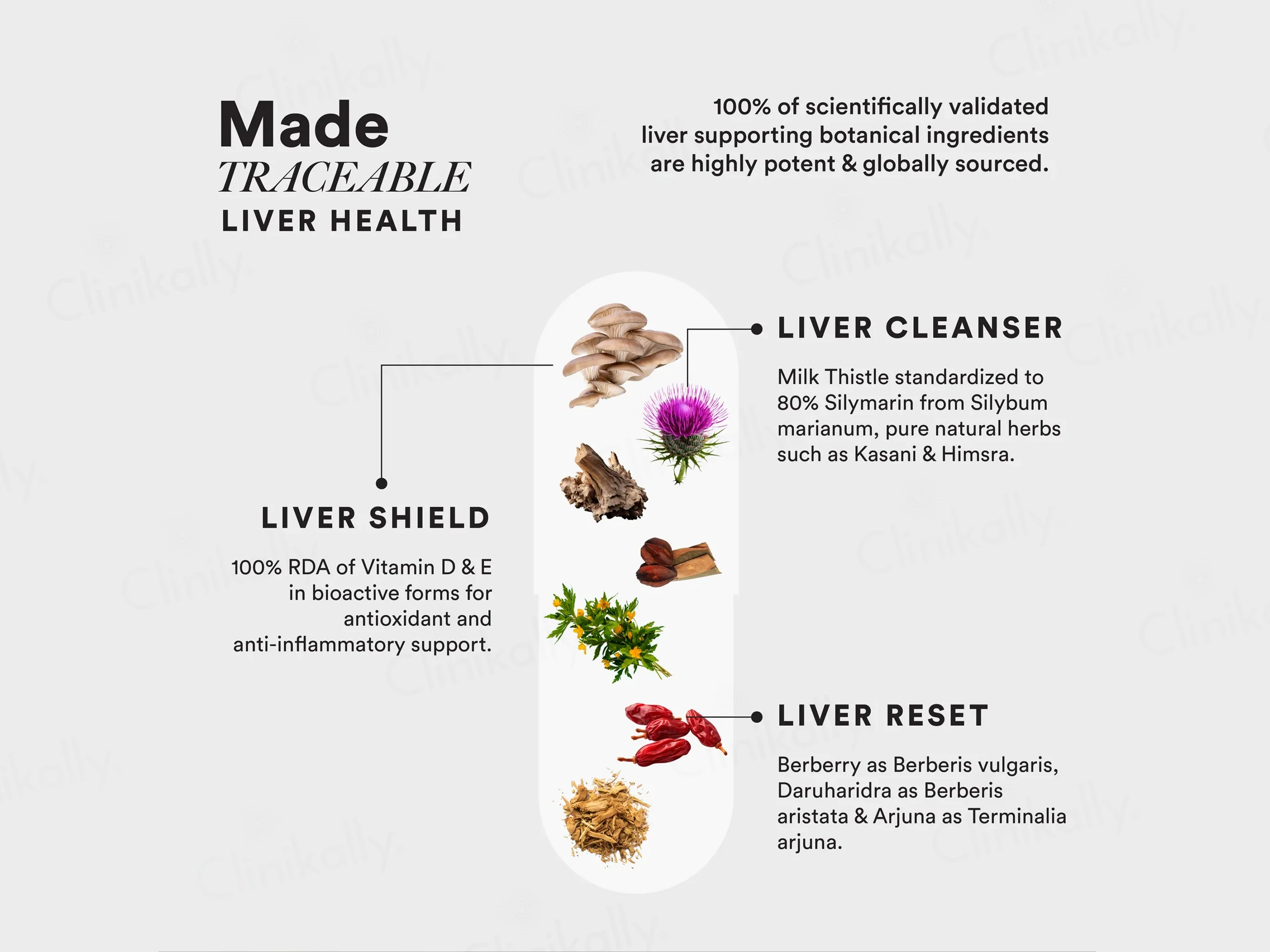 Wellbeing Nutrition Slow Liver Detox Capsule - Image 5