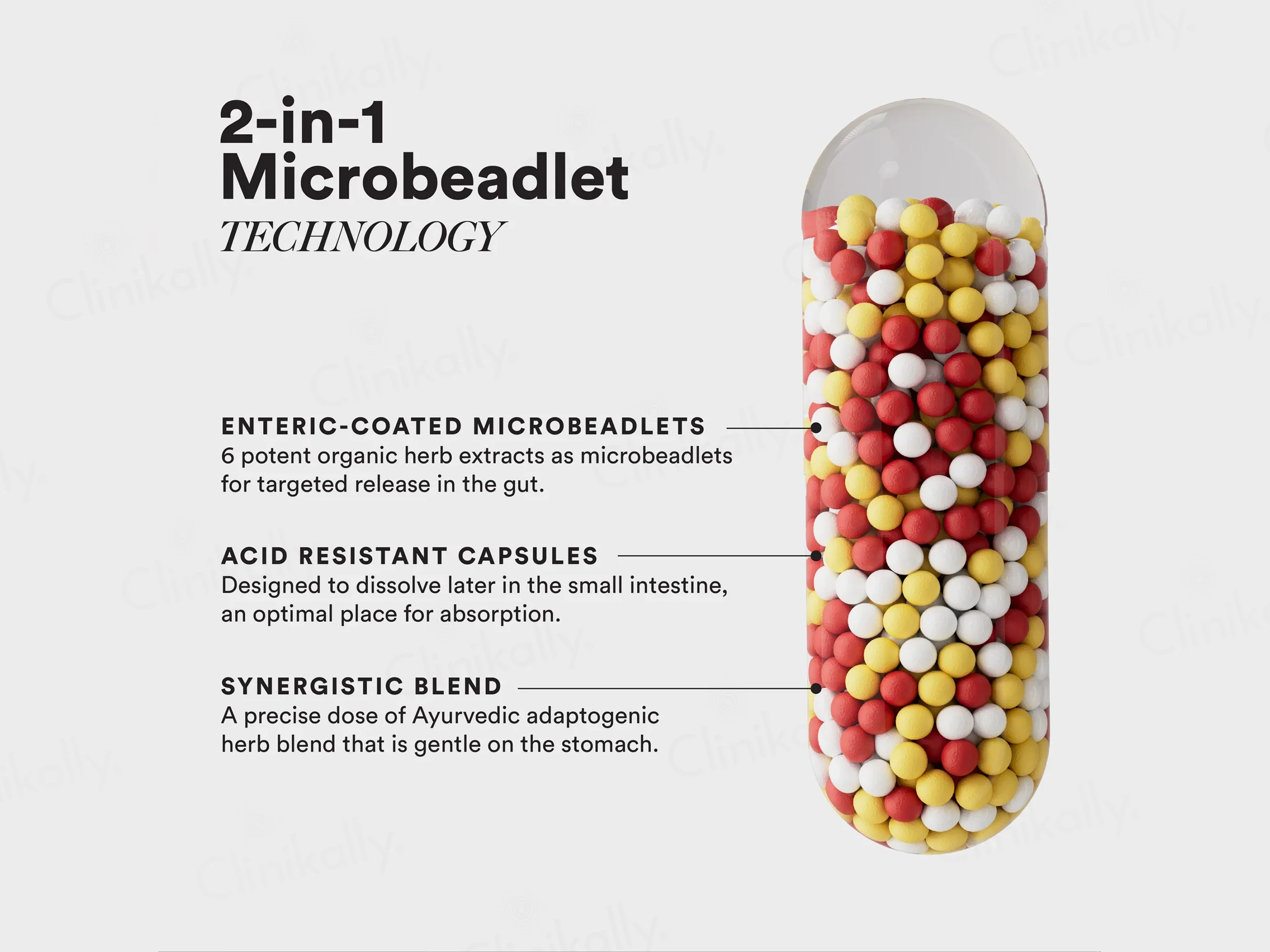 Wellbeing Nutrition Slow Liver Detox Capsule - Image 6
